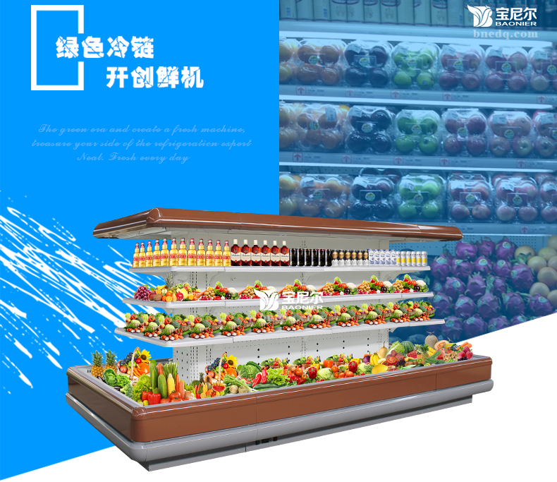 亳州蔬菜水果保鲜柜