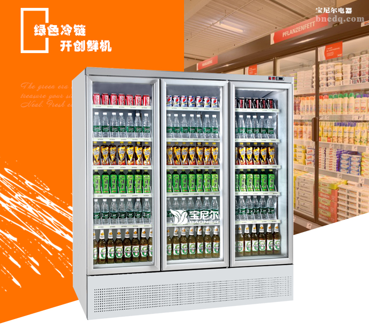 六安便利店冷柜