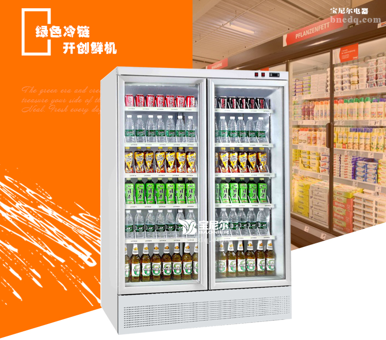 铜陵便利店冷柜